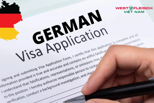 Mức lương chuyển đổi bằng Chế biến thực phẩm tại Đức 2025