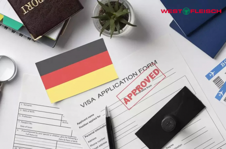 Lao động thời vụ Đức: Nên hay Không?