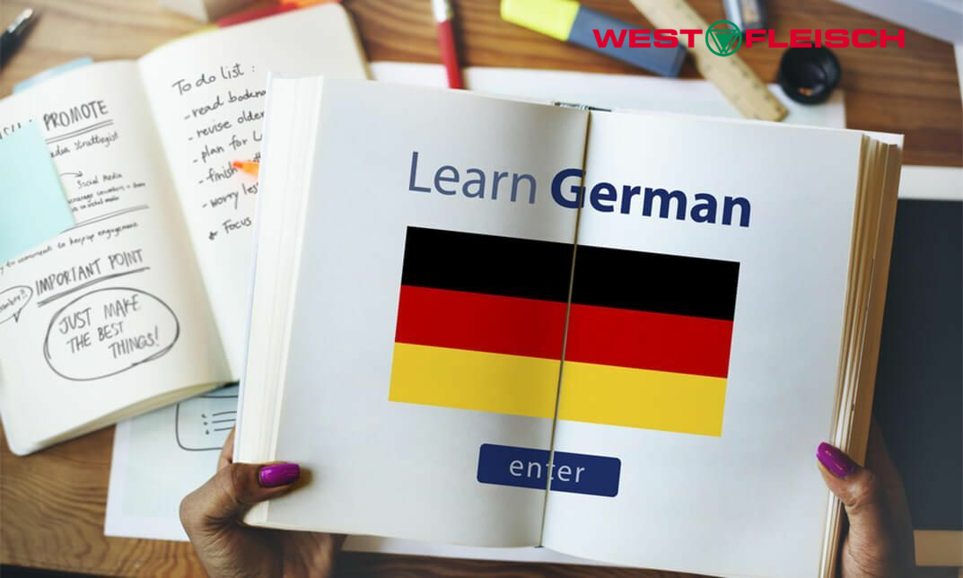 Trình độ tiếng Đức quyết định nhiều đến thu nhập của người Việt tại Đức